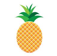 Pineapple N6