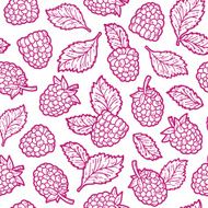 cute raspberry pattern N2