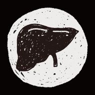 Liver doodle N6