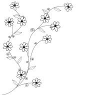 black and white doodle flowers hand drawn vector