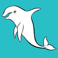 dolphin N5
