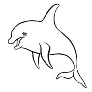 dolphin N6