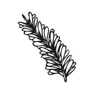 Doodling hand drawn feather