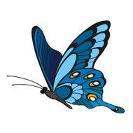 Blue Butterfly N10