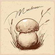 Sketch forest mushroom in the grass Handmade