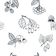 Berries sketch seamless pattern Vector illustration N3
