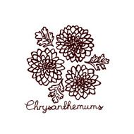 Handsketched bouquet of chrysanthemums