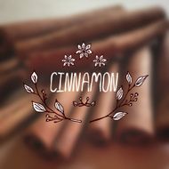 Herbs and Spices Collection - Cinnamon N7