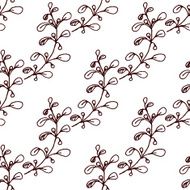 Herbs and Spices Collection - Marjoram N3