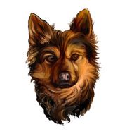 dog vector illustration hand drawn painted watercolor