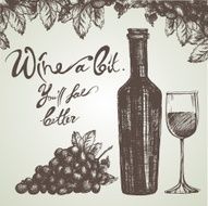 Wine sketch and vintage illustration N7