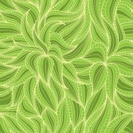 Dense vegetation pattern N5