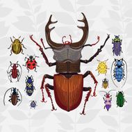 Bright vector set with colorful bugs N3