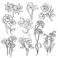 Flowers N62
