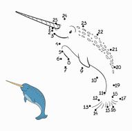 Numbers game (narwhal) N2