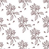 Herbs and Spices Collection - Clove N11