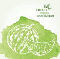 Watercolor background with watermelon in vector