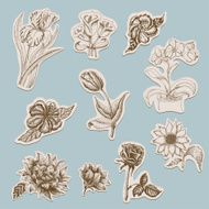 Collection of flowers in tags