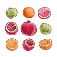 Set of fruits sketch for your design N3