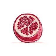 Sketch of pomegranate for your design N2