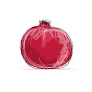 Sketch of pomegranate for your design N3