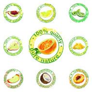 painted fruit icon vector