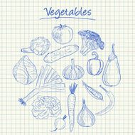 Vegetables doodles - squared paper