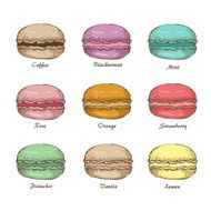 Macaroon 15 N2