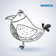 Bird vector illustration N13