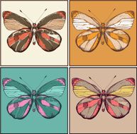 vector cards with hand-drawn butterflies