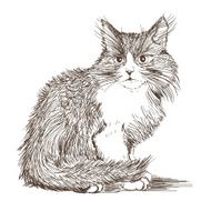 little cat drawing