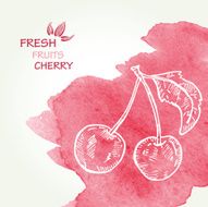 Watercolor background with cherry in vector