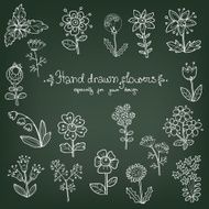 Collection of hand drawn monochrome doodle flowers - daisy bell N2