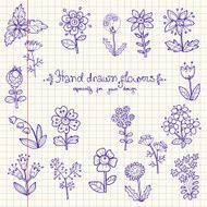 Collection of hand drawn monochrome doodle flowers - daisy bell N3