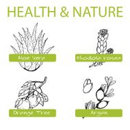 Handdrawn Set - Health and Nature Collection of Medicine Herbs N3
