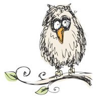 owl N40