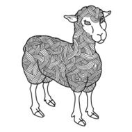 cute sheep N12