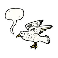 Cartoon Seagull N11