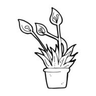 cartoon orchid plant N14