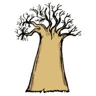 baobab