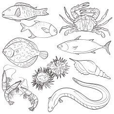 Seafood Collection