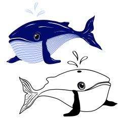 Whale N10