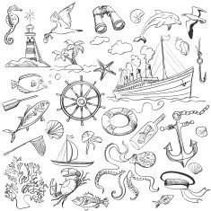 hand-drawn elements of marine theme