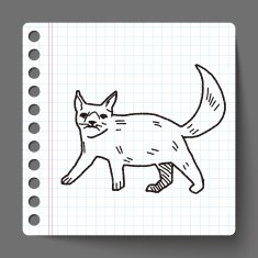 cat doodle drawing N135