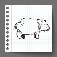 hippo doodle N12