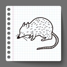 mouse doodle N15
