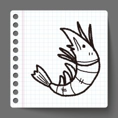 shrimp doodle N15