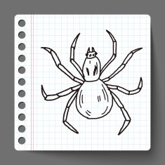 spider doodle N25