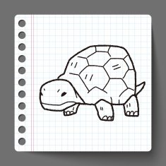Tortoise doodle N12