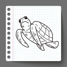 Tortoise doodle N13